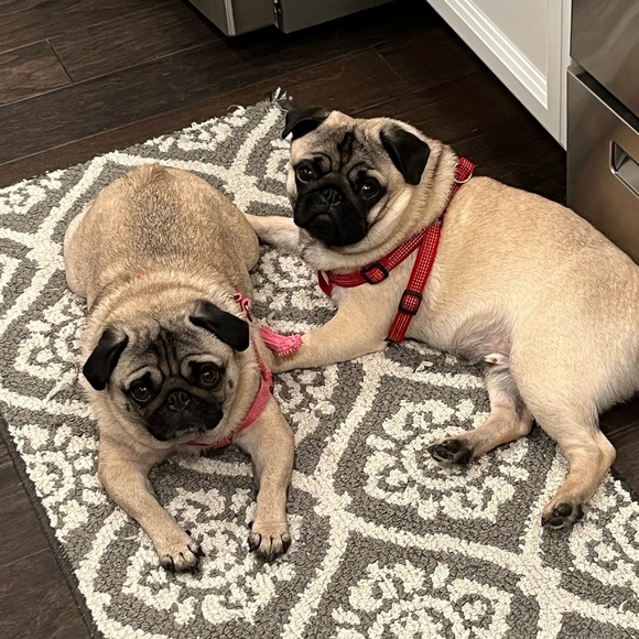 Meet your Posher, Kathleen - Picture 1 of 1